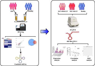 A Novel Serum tsRNA for Diagnosis and Prediction of Nephritis in SLE